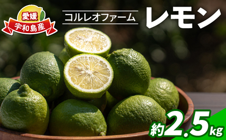 レモン 2.5kg コルレオファーム 国産 防腐剤 ・ ワックス 不使用 国産レモン 先行予約 青レモン れもん remon 檸檬 レモン果汁 酸味 果物 くだもの ビタミン サワー ジュース チューハイ 健康 フルーツ 柑橘 農家直送 産地直送 数量限定 愛媛 宇和島