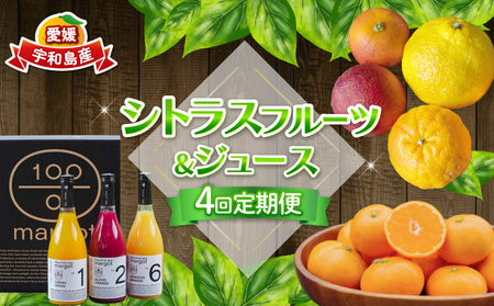 VgX t[c  W[X 4  RIt@[ 승20 ubhIW  Õ ͂邩 |J ^bR Ƃ  sm VgXW[X 720ml ? 3{ lߍ킹 