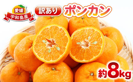 ポンカン 8kg 訳あり ぽんかん 杉本屋 訳あり品 mikan みかん デザート 甘い 果物 くだもの フルーツ 柑橘 みかん 蜜柑 ビタミン お取り寄せ 愛媛みかん 愛媛蜜柑 愛媛県産 産地直送 数量限定 国産 愛媛 宇和島