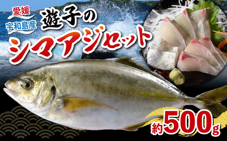 シマアジ セット 遊子産 計 500g 愛媛県漁業協同組合遊子支所 スキンレスロイン 250g 皮無し ロイン 250g 皮付き 片身分 魚介 刺身 お刺身 刺し身 お刺し身 なし つき 加工 海の幸 海鮮 海鮮丼 漬け丼 しゃぶしゃぶ たたき 冷凍 アレンジ 国産 愛媛 宇和島