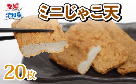 ＼10営業日以内発送／ ミニ じゃこ天 20枚 亀井蒲鉾 手作りじゃこ天 練り物 練物 天ぷら てんぷら かまぼこ 蒲鉾 炒め物 和え物 おでん お鍋 鍋 おやつ 小魚 お弁当 弁当 揚げ蒲鉾 揚げかまぼこ 冷蔵 惣菜 郷土料理 魚肉加工品 特産品 愛媛 宇和島 C010-069005