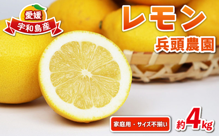  ƒp 4kg TCYs _  EG ʏ` _ u₩ ʎ T[ W[X `[nC remon  ʕ  r^~ t[c k _ƒ Yn 