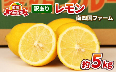 󂠂  5kg lt@[ s\ 킯  EG remon  ʏ` _ u₩ ʎ T[ W[X `[nC ʕ  r^~ t[c k Yn ʌ