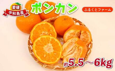 ポンカン みかん 約5.5kg 〜 6kg ふるくとファーム かなこちゃん 先行予約 サイズミックス ぽんかん 果物 くだもの フルーツ 蜜柑 mikan 愛媛ミカン 愛媛蜜柑 愛媛みかん 柑橘 かんきつ 人気 濃厚 甘い 甘味 農家直送 産地直送 数量限定 国産 宇和島