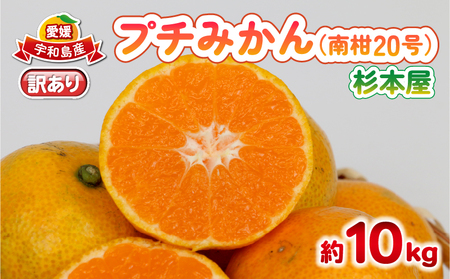 󂠂 v` ݂ 승20 10kg { 킯 󂠂i A ʂ݂ ݂ Q݂ Q Q~J B B݂ ʕ  t[c k  mikan Yn