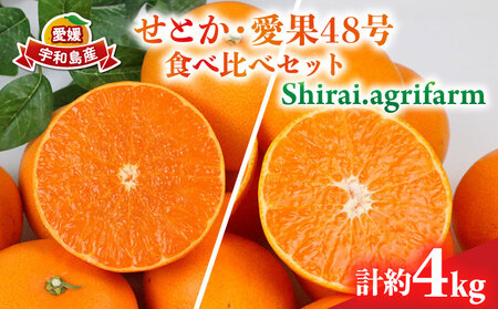 せとか 2kg 愛果48号 2kg 食べ比べ セット 計4kg Shirai.agrifarm 愛果48号