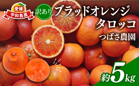 󂠂 ubhIW ^bR 5kg Q݂ ΂_ s\ 킯 A 󂠂i IW ʕ  t[c ubh IW k ݂ Q Q~J 