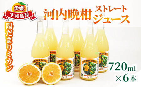 ͓ӊ Xg[gW[X 720ml × 6{ z܂~J ݂W[X ݂  mikan t[c W[X ʏ` 100% Ē \[_ Ɠۂ  ʕ  Y Q Fa H024-