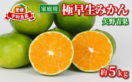 家庭用 極早生 みかん 5kg 矢野青果 温州みかん 果物 くだもの フルーツ 柑橘 蜜柑 愛媛蜜柑 愛媛みかん 愛媛ミカン mikan 産地直送 数量限定 国産 愛媛 宇和島 B012-171023