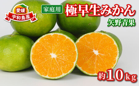 家庭用 極早生 みかん 10kg 矢野青果 温州みかん 果物 くだもの フルーツ 柑橘 蜜柑 愛媛蜜柑 愛媛みかん 愛媛ミカン mikan 産地直送 数量限定 国産 愛媛 宇和島 B024-171024