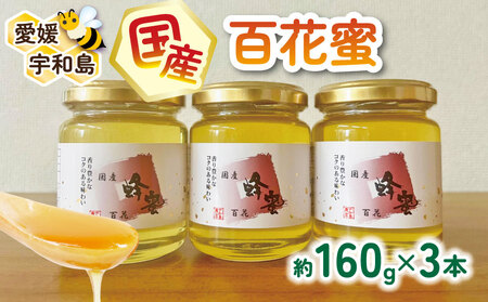 ＼10営業日以内発送/ 国産はちみつ 百花蜜 160g × 3本 セット 宇和島農産 純国産はちみつ 瓶 蜜 人気ハチミツ 純粋 非加熱 蜂蜜 ハニー 百花蜂蜜 百花 純粋 生 天然 産地直送 愛媛 宇和島