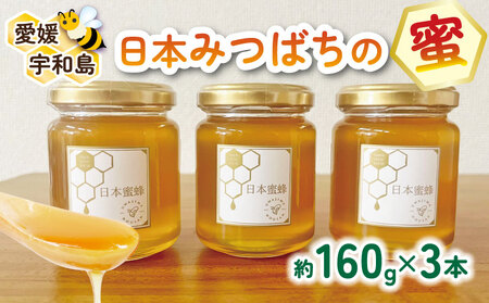 ＼10営業日以内発送/ 国産はちみつ 日本みつばち の 蜜 160g × 3本 セット 非加熱 宇和島農産 ハチミツ 国産蜂蜜 純粋はちみつ 蜂蜜 ハニー honey 人気ハチミツ 日本蜜蜂 ニホンミツバチ 純粋 生 常温 保存 備蓄 防災食 非常食 保存食 産地直送 愛媛 宇和島
