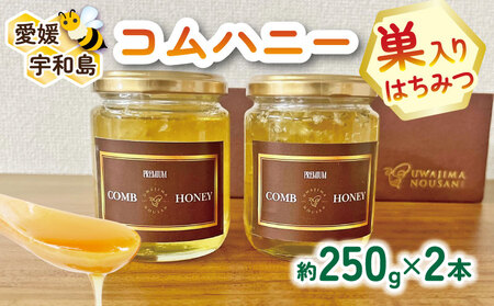 ＼10営業日以内発送/ 巣蜜 コムハニー 250g × 2本 セット 宇和島農産 ハチミツ 蜜 百花蜜 巣みつ ミツ 人気ハチミツ 非加熱 はちみつ 蜂蜜 ハニー 百花蜂蜜 百花はちみつ 純粋 生 天然 産地直送 愛媛 宇和島