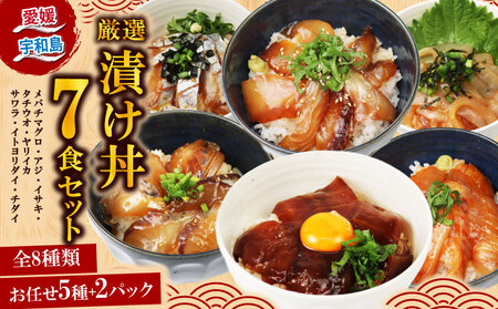 [海鮮丼]漬丼厳選活締め天然7食南予ビージョイ海鮮丼