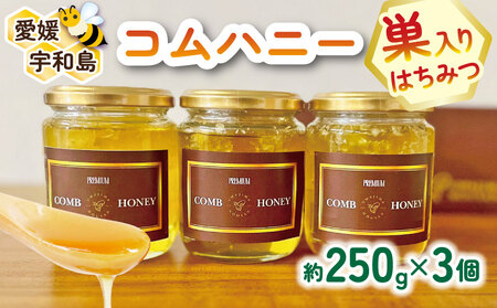 巣蜜 コムハニー 250g × 3個 セット 宇和島農産 ハニー F025-132013