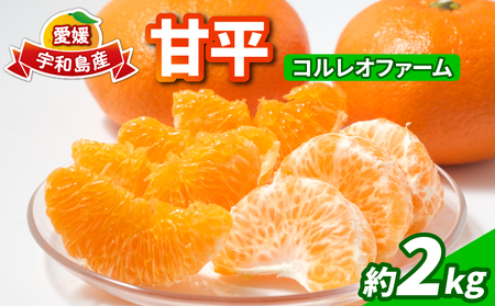 甘平 2kg コルレオファーム 愛媛みかん 甘い 平たい 高級 高級柑橘 希少 限定 品種 シャキシャキ 果物 くだもの 先行予約 mikan フルーツ 柑橘 かんきつ みかん ミカン 蜜柑 かんぺい お取り寄せ 産直 産地直送 数量限定 国産 愛媛 愛媛県 宇和島