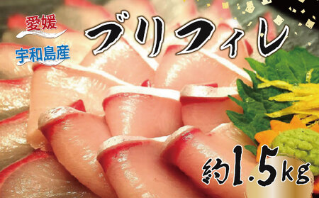 u tB 1.5kg L ANAvX uh  Ԃ hg hg hg hg tB[ H  Ԃ  AW ① Yn Y Q Fa D020-090008