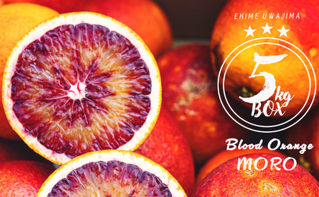訳あり ブラッド オレンジ モロ 5kg コルレオファーム わけあり 訳あり品 訳有り 訳アリ 愛媛みかん 愛媛ミカン みかん フルーツ 柑橘 蜜柑 果物 くだもの 甘い コク 人気のみかん 美味しい 産地直送 数量限定 国産 愛媛 愛媛県 宇和島