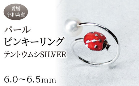 SV パール ピンキーリング テントウムシ 6.0-6.5mm 暁工房 リング