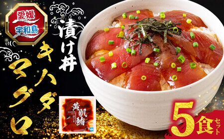 海鮮丼 鮪 漬け丼 5食 南予ビージョイ キハダ マグロ maguro 刺身 お刺身 刺し身 漬け 漬丼 丼 丼ぶり 海鮮 人気 海の幸 魚介 人気加工品 冷凍 小分け パック お手軽 便利 国産 愛媛 宇和島