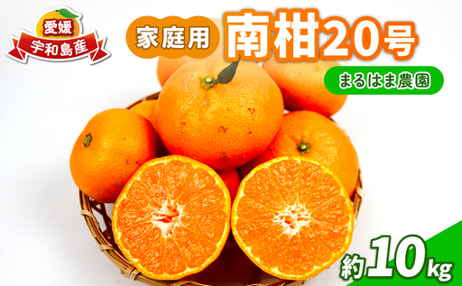 家庭用 南柑20号 約10kg まるはま農園 甘い 美味しい 先行予約 温州 みかん うんしゅう 温州みかん 愛媛ミカン 愛媛蜜柑 みかん 蜜柑 mikan 果物 くだもの フルーツ 柑橘 数量限定 産地直送 国産 宇和島