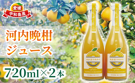 河内晩柑 ジュース 720ml × 2本 セット あかまつみかん ストレートジュース 愛媛 の 柑橘 みかん 蜜柑 mikan フルーツジュース 果汁 100% 飲料 柑橘 ギフト 贈答用 果物 くだもの フルーツ 国産 愛媛 宇和島
