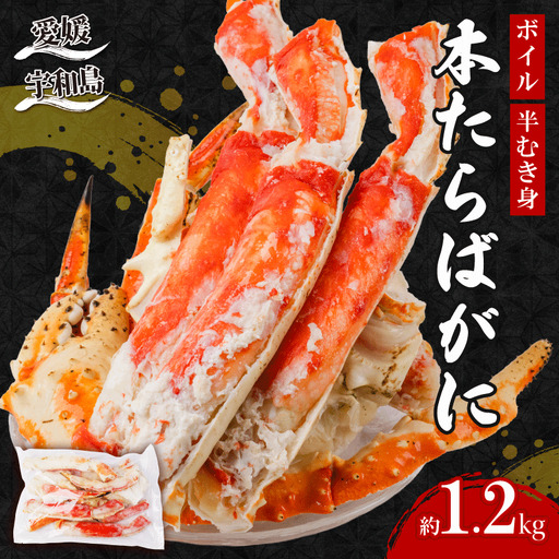 ボイル 本 たらばがに 半むき身 1.2kg ニューバーク たらばがに