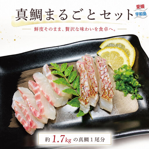 真鯛まるごとセット こもねっと 真鯛