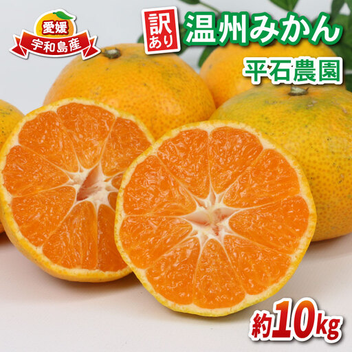 みかん 訳あり 温州みかん 10kg 平石農園 先行予約 温州 みかん 甘い 甘味 酸味 果物 くだもの フルーツ 柑橘 mikan 蜜柑 愛媛蜜柑 愛媛みかん わけあり サイズ 不揃い 産地直送 数量限定 国産 愛媛 宇和島