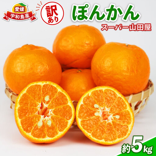 みかん 訳あり ポンカン 約 5kg スーパー山田屋 先行予約 ぽんかん 甘い 果物 くだもの フルーツ 柑橘 mikan 蜜柑 愛媛蜜柑 愛媛みかん わけあり サイズ 不揃い 産地直送 数量限定 国産 愛媛 宇和島