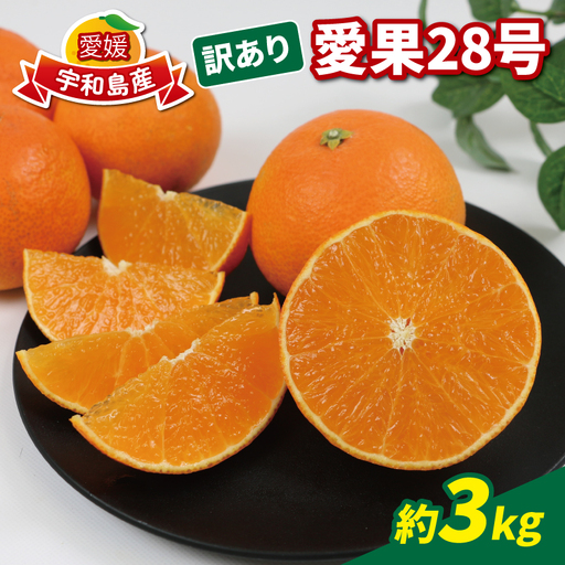 [12月上旬〜12月中旬発送予定] 愛媛 みかん 愛果28号 訳あり 3kg 玉津柑橘倶楽部 先行予約 愛媛みかん 愛媛蜜柑 ミカン 訳アリ 訳あり品 ミカン 高級 ブランド 限定 品種 ゼリー 甘い 玉津 mikan 予約受付 果物 フルーツ 柑橘 愛果 濃厚 甘味 蜜柑 産地直送 数量限定 国産 愛媛県産 宇和島