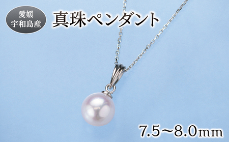 真珠 ペンダント 7.5-8.0mm 真珠会館 ネックレス パール 一粒 アクセサリー アコヤ 本 akoya ファッション フォーマル カジュアル 冠婚葬祭 慶事 結婚式 卒業式 入学式 お祝い ギフト 贈り物 人気 特産品 国産 愛媛 宇和島