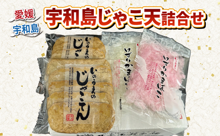 じゃこ天 15枚 井上蒲鉾本舗 手押しじゃこ天 小魚 すり身 練り物 冷蔵 惣菜 フライ おでん 具 出汁 だし 小分け 酒 おつまみ 肴 魚肉 水産 加工品 特産品 郷土料理 国産 愛媛 宇和島 じゃこ天 練り物 じゃこ天 練り物 じゃこ天 練り物 じゃこ天 練り物