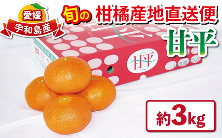 Õ k Di 3kg s\ Ђߓ_Ƌg̃Z^[ JA ؂   uh  i Â mikan  ݂ ʕ t[c Q~J Q Q݂ k _