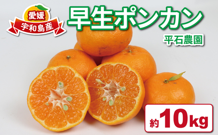 愛媛みかん 早生 ポンカン 10kg 平石農園 太田ポンカン 早生ポンカン ぽんかん みかん mikan 愛媛ミカン 愛媛蜜柑 果物 くだもの フルーツ 柑橘 甘い みかん 蜜柑 数量限定 産地直送 農家直送 国産 愛媛 宇和島 B011-017002