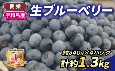 ブルーベリー 生ブルーベリー 340g ×4パック 計約 1.3kg 南四国ファーム berry ベリー 果物 くだもの フルーツ デザート スイーツ ジャム ポリフェノール 抗酸化作用果物 冷蔵 小分け 農家直送 産地直送 数量限定 フルーツ 国産 愛媛 宇和島 F012-035006