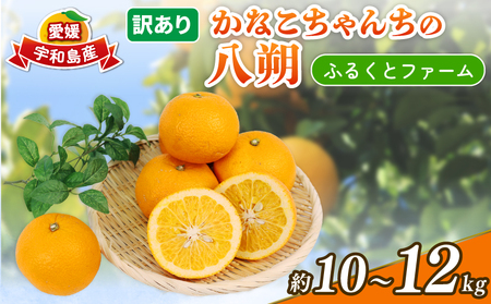 ͂ 󂠂  10~12kg s\ ӂ邭ƃt@[ Ȃ ʕ  t[c k ݂  mikan 킯 A 󂠂i r^~C Ղ Q~J Q