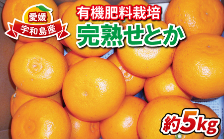 せとか 5kg 有機肥料栽培 完熟 ほんとのみかん清家農園 先行予約 高級柑橘 柑橘の 大トロ 果物 フルーツ 高級 ブランド 希少 甘い 美味しい 柑橘 みかん 蜜柑 mikan 愛媛ミカン 愛媛蜜柑 愛媛みかん 産地直送 農家直送 数量限定 国産 愛媛 宇和島 B018-040002