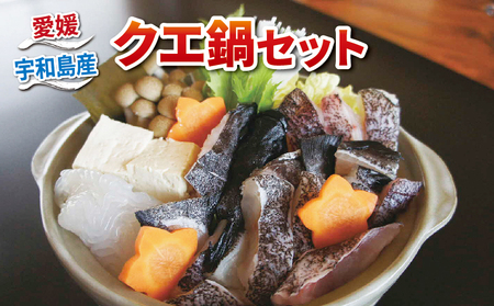 ＼10営業日以内発送/ クエ鍋 宇和海産 養殖 本グエ鍋 セット エビス 本グエ 500g 身 150g あら 350g ポン酢 80ml だし 昆布 クエ 出汁 冷凍 便利 人気 海の幸 海 魚 さかな 魚介 魚貝 海鮮 鮮魚 水産 産地直送 国産 愛媛 宇和海 宇和島