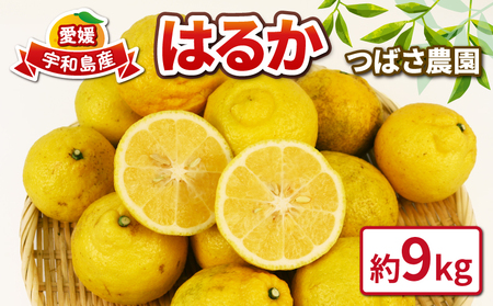 s\ ͂邩 9kg Q݂ k t[c ΂_ ƒp y k t[c z B010-048002
