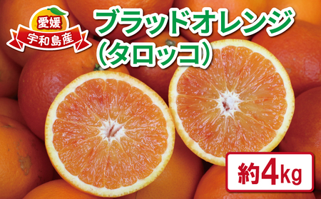 ubhIW ^bR 4kg ubhIW Q݂ IW ΂_ ubhIW ubhIW ubhIW B010-048003