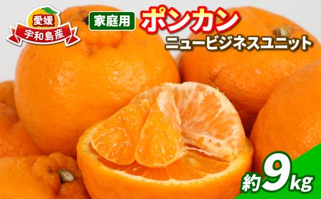 愛媛 ポンカン 9kg 家庭用 みかん S~L サイズ ミックス ニュービジネスユニット 柑橘柑橘柑橘柑橘柑橘柑橘B015-058003