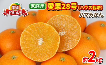28 2kg ƒp nEX͔| s\ n}݂ ʕ  t[c k ݂  uh [[ vv Â  i  mikan Q Q݂ _ƒ Yn