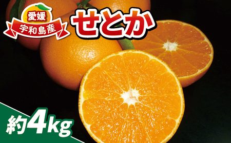 nEX  Ƃ 4kg 16~26 ƒp \t@[ nEX͔| TCY s nEX݂ nEX Q݂ Q Q~J mikan ʕ  t[c  uh  i 