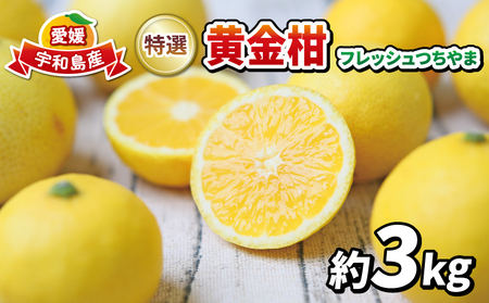 高級柑橘 黄金柑 3kg 先行予約 フレッシュつちやま 幻のみかん 希少 おうごんかん 贈答品 贈答用 ギフト プレゼント 高級 果物 フルーツ 柑橘 みかん 蜜柑 愛媛ミカン 愛媛蜜柑 愛媛みかん 農家直送 産地直送 数量限定 国産 宇和島