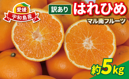 柑橘訳ありはれひめ5kg 先行予約マル南フルーツ みかん柑橘柑橘柑橘柑橘