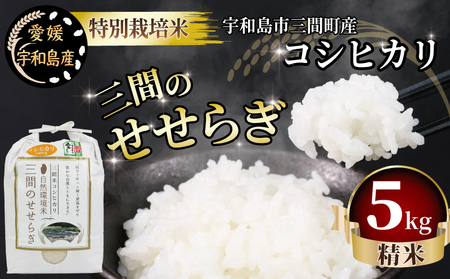 愛媛県宇和島市三間町産こしひかり 三間米 日本一美味い三間米❓ - 米