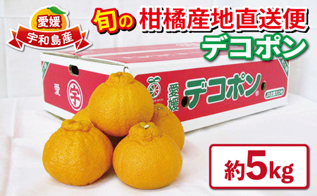 デコポン 不知火 優品 5kg 先行予約 えひめ南農業協同組合直販センター JA デコポン みかん デコポン 柑橘 デコポン B020-009005