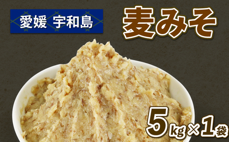 麦味噌 5kg 企業組合津島あぐり工房 麦みそ 味噌 みそ 麦味噌 発酵 発酵調味料 調味料 麦 麹 こうじ 無添加 数量限定 味噌 国産 愛媛 宇和島 J012-066005