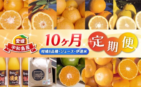 みかん定期便 柑橘定期便 10ヶ月 ワールドファーマーズ 10回 ポンカン 伊予柑 不知火 甘夏 河内晩柑 ジュース 米 極早生 早生 南柑20号 みかん 柑橘 愛媛みかん 愛媛ミカン 蜜柑 mikan 温州みかん 農家直送 産地直送 数量限定 国産 愛媛 愛媛県産 宇和島